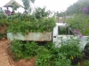 cimg0894