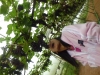 cimg0903