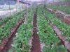 cimg0912
