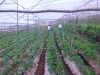 cimg0916