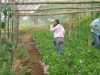 cimg0917