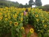 cimg0931