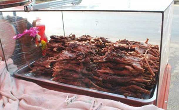 Fried-Rats-in-Thailand.jpg