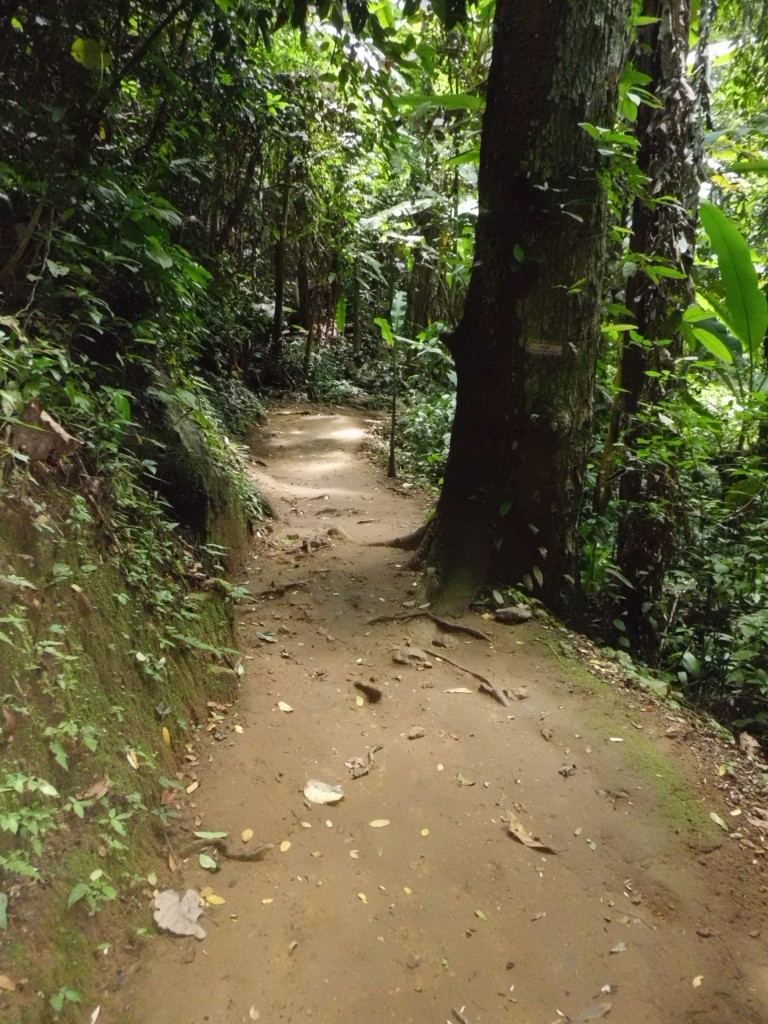 Trail that leads to the Mok Fah waterfall