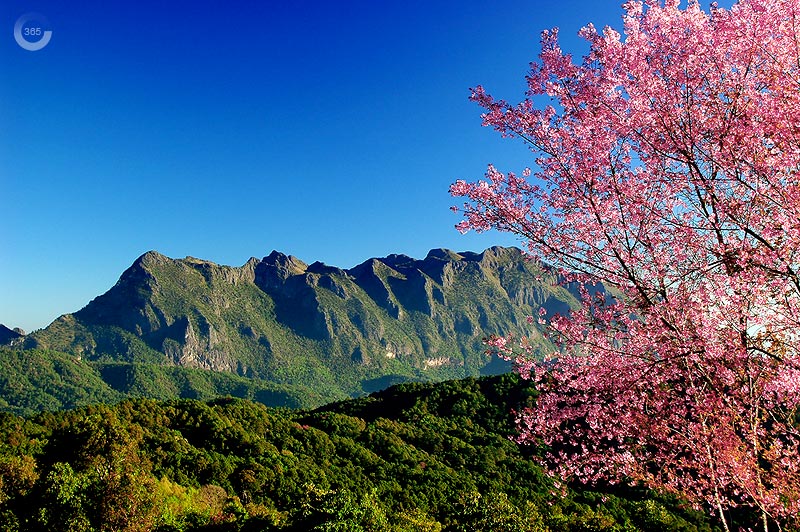 Doi Mae Ta Man