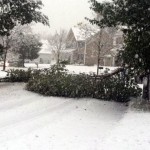 freak snowstorm in conneticut