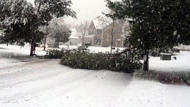 freak snowstorm in conneticut