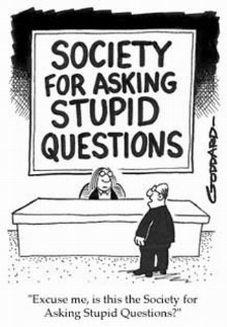 stupid questions stupid questions