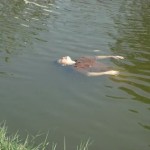 Dead person floating in Chiang Mai Moat comes back to life