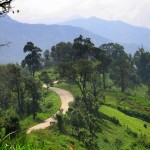 where to live in Chiang mai