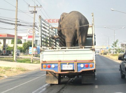 Thai people are bad drivers