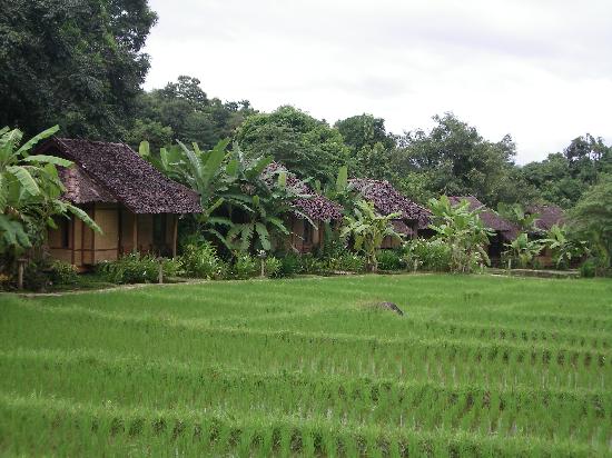 Fern Resort Mae Hong Son