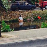 chinese takes a dump in the moat